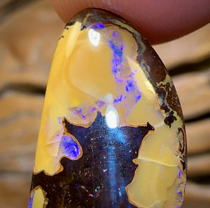 🔨 AUCTION 🔨 No Reserve 15.9cts - Yowah Nut Opal. Australian Boulder Opal