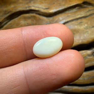 Wildcard! 3.1cts - South Australian White Opal from Coober Pedy