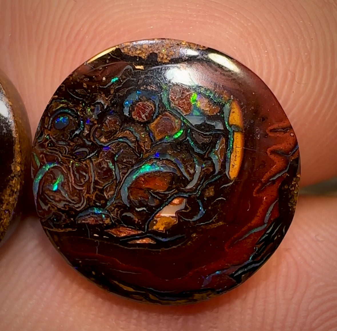 13.8cts - Tribal Queensland Boulder Opal Pair