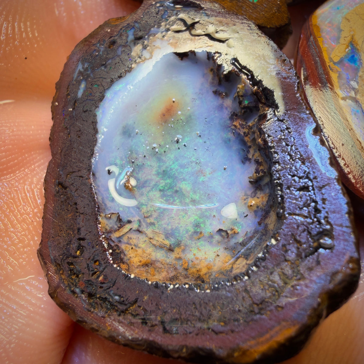 137.3cts - 4x Yowah Nut Rough Opal Parcel. Australian Boulder Opal