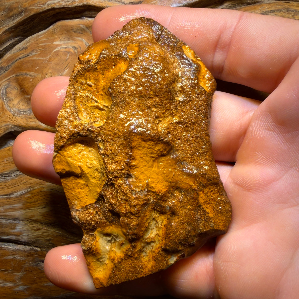 331.3cts - Queensland Boulder Opal Rough Rub from Yowah
