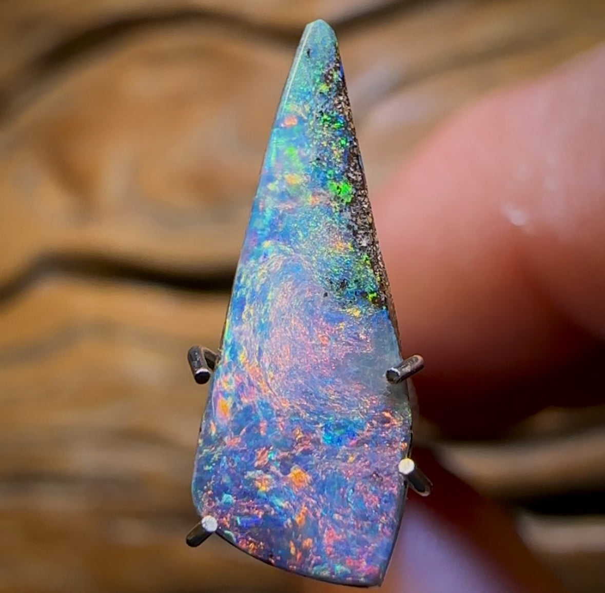 1.8cts - Queensland Boulder Seam Opal Red Multi Floral