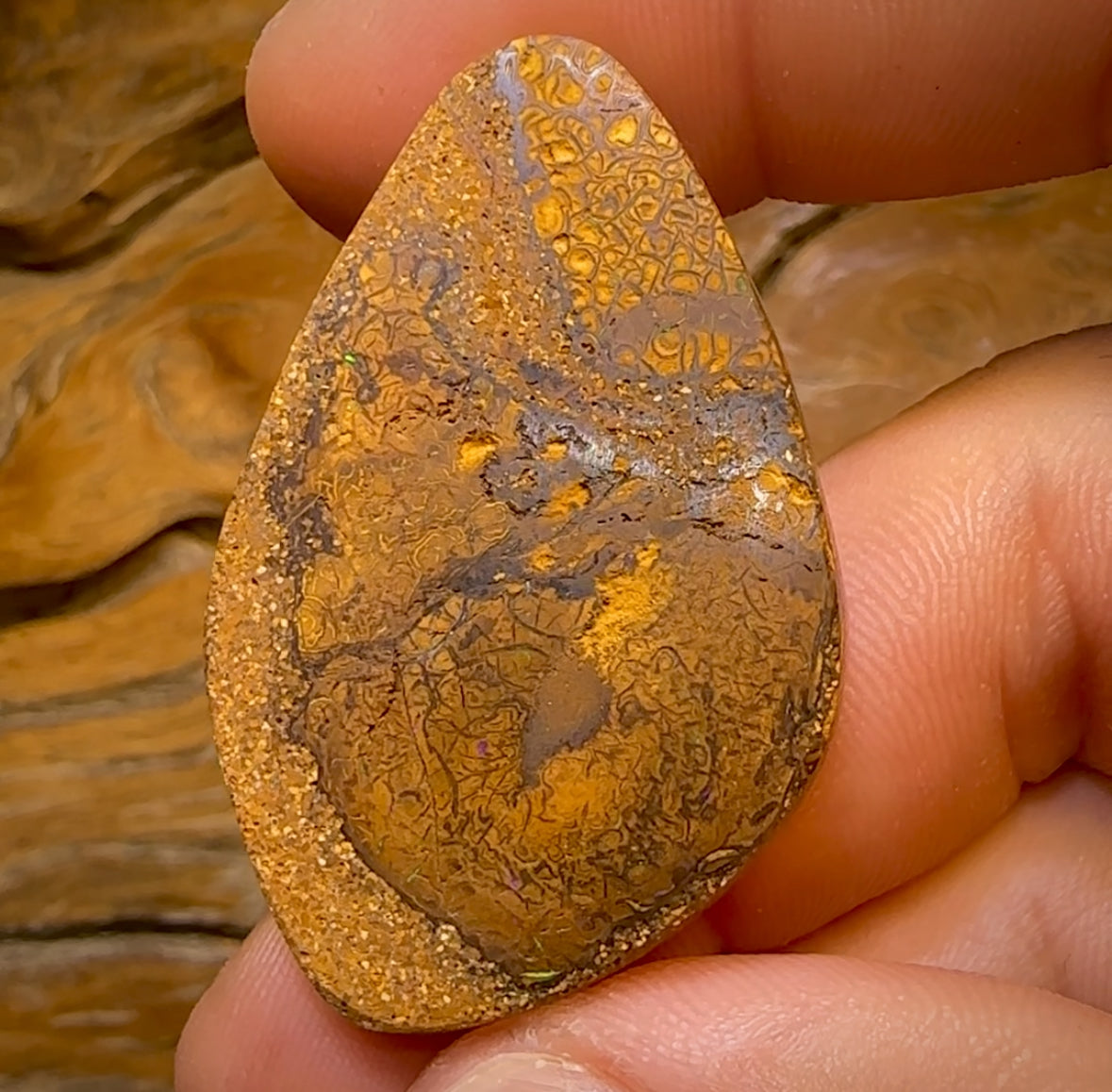 85.1cts - Large Tan Tribal Yowah Nut Opal