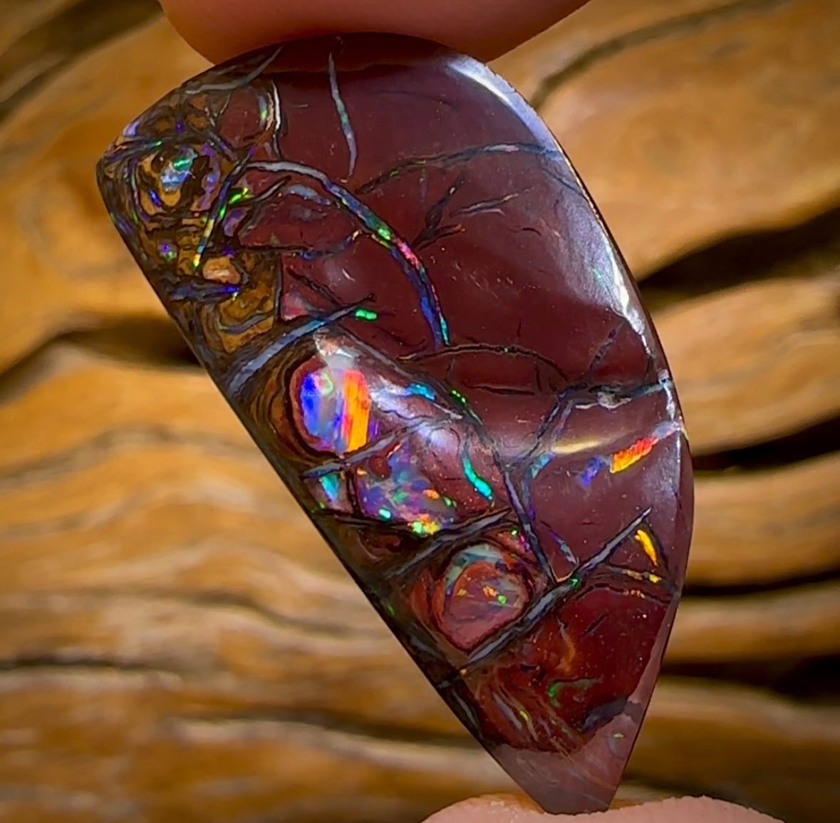 29.4cts - Top Tribal Australian Boulder Opal from Yowah. Red Multicolours!