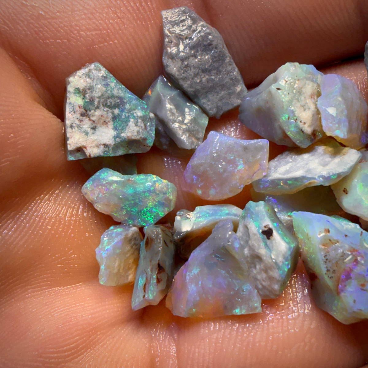 38cts - 20x Lightning Ridge Opal Rough Parcel