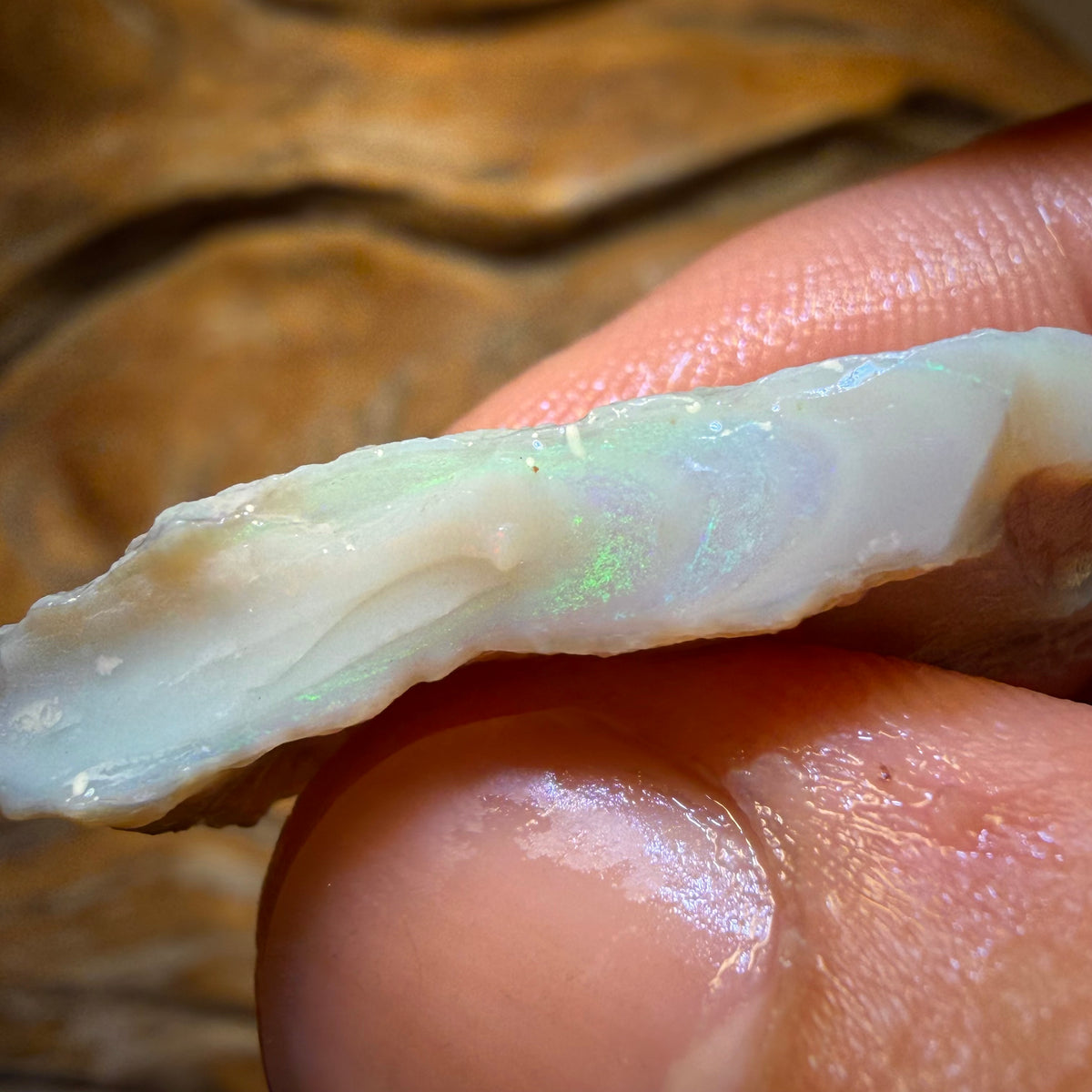 16.6cts - Lightning Ridge Dark Opal Rough Piece