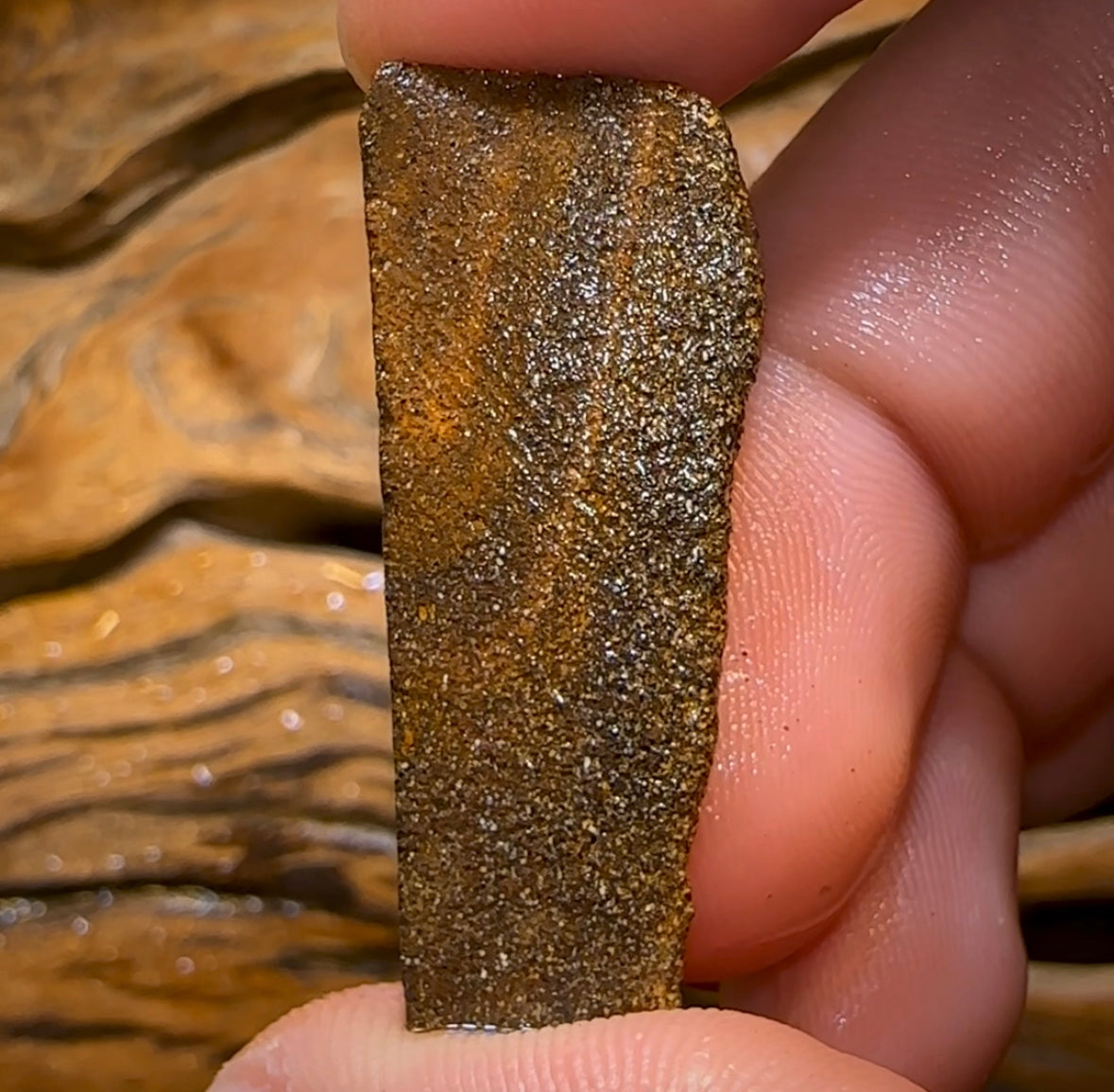 31.9cts - Australian Boulder Opal Rough Preform. Natural Split - Opal Whisperers