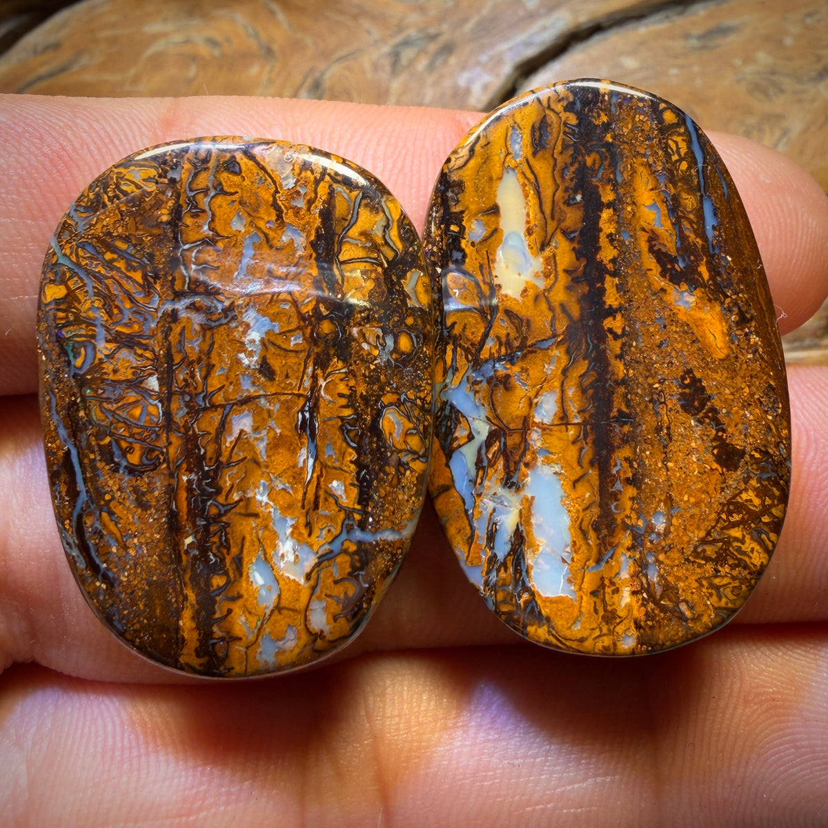 88.7cts - Tribal Queensland Boulder Opal Pair
