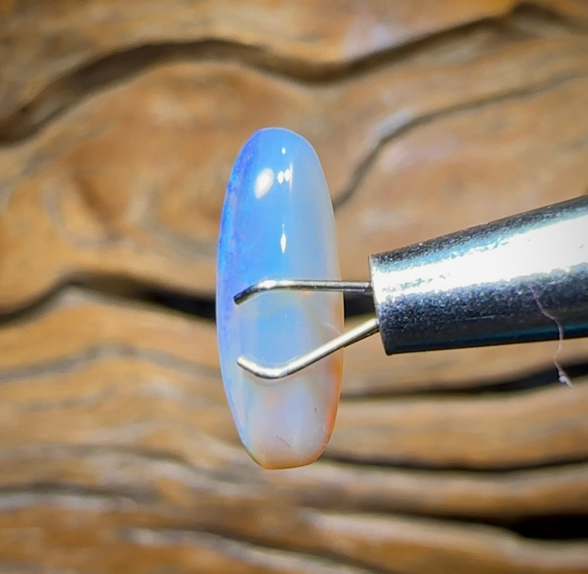 2.9cts -“Little Boy Blue”  Lightning Ridge Crystal Opal - Opal Whisperers