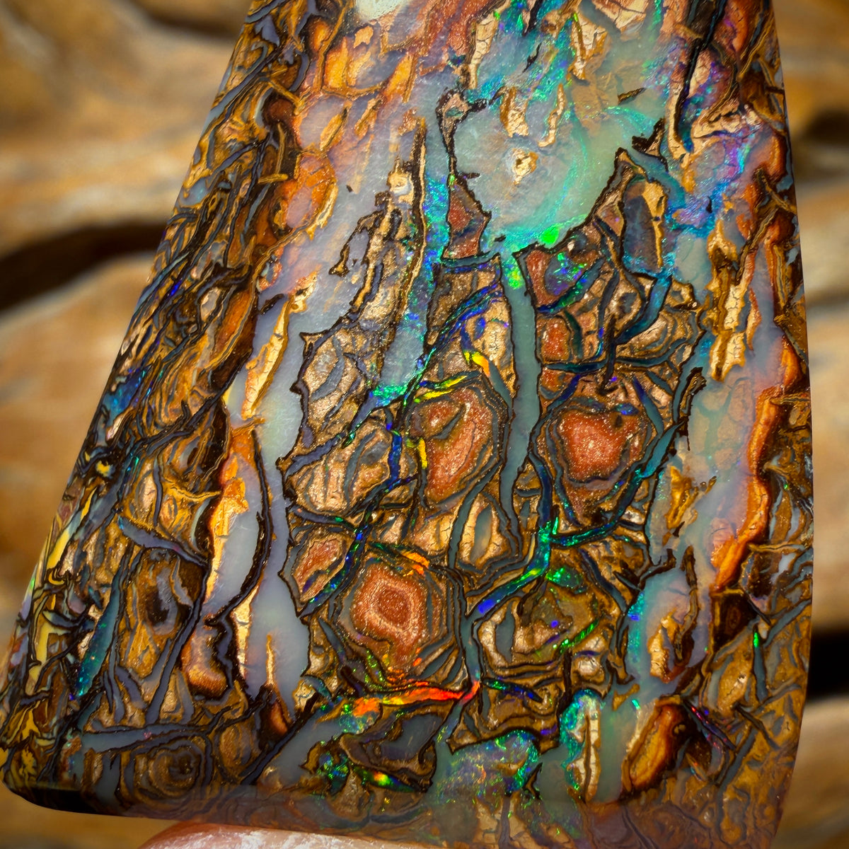 57.3cts - Top Tribal Artistic Queensland Boulder Opal from Yowah
