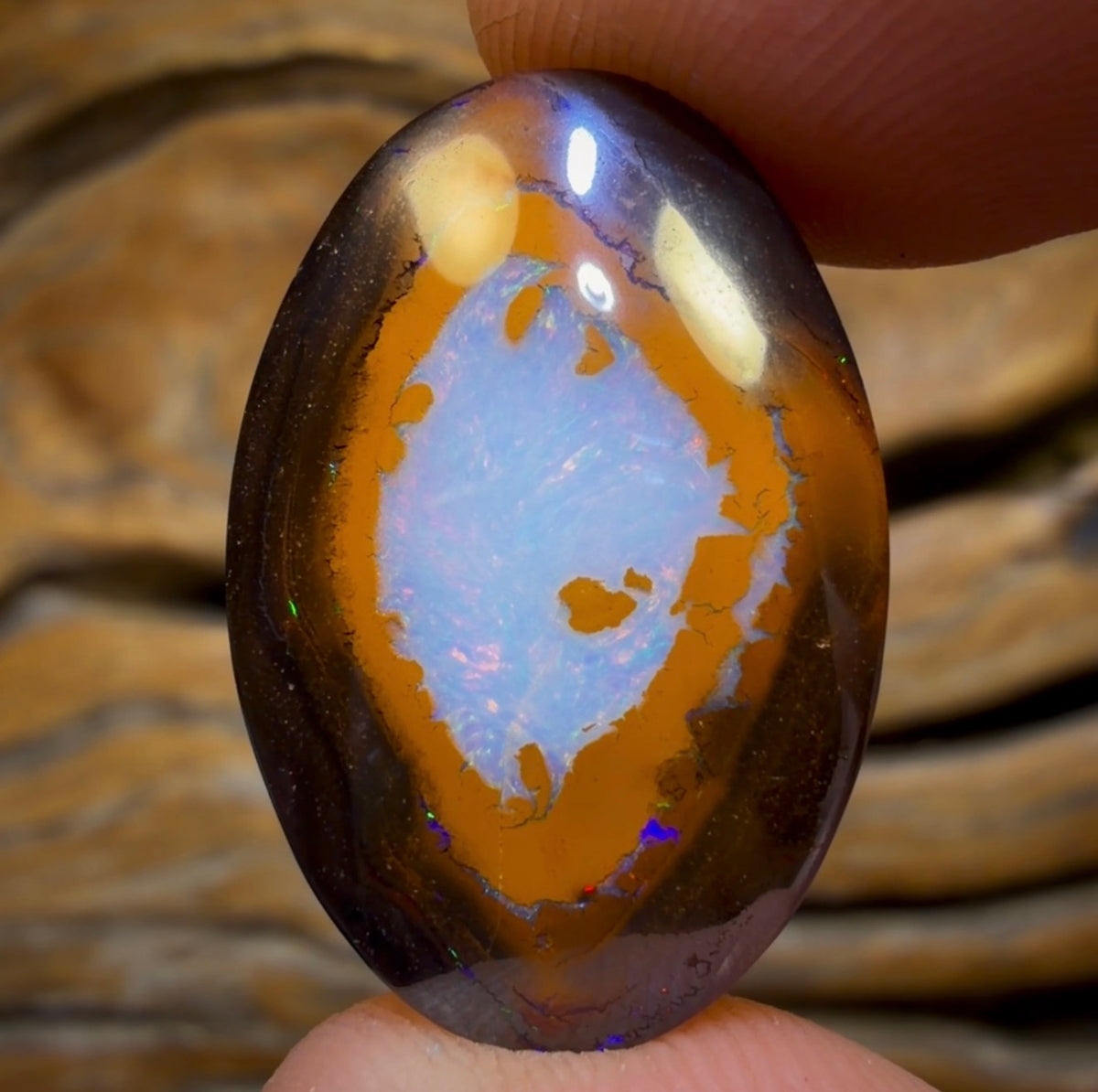 24.5cts - Rare Yowah Nut Crystal Centre Opal. Australian Boulder Opal