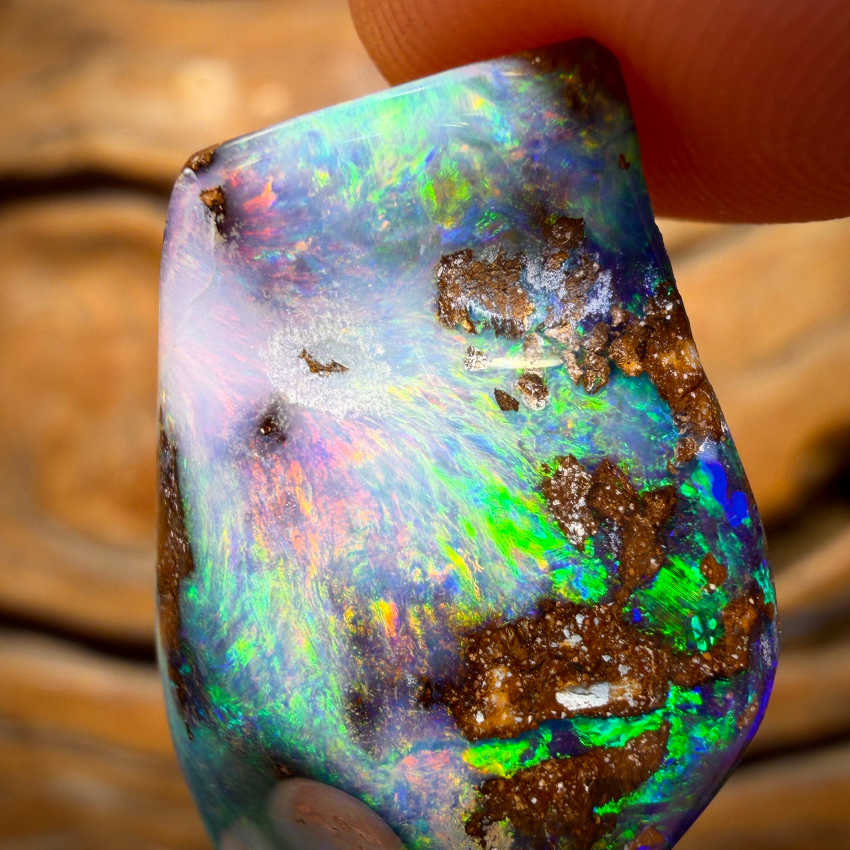 34.2cts - Gem Queensland Boulder Seam Opal