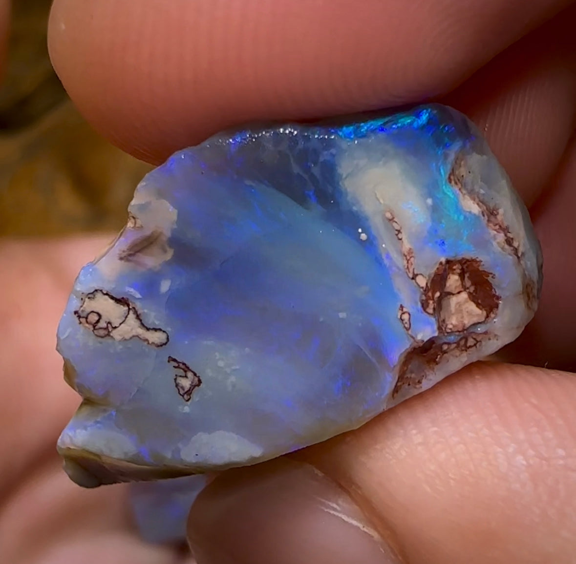 86.2cts - 4x Lightning Ridge Crystal and Dark Opal Rough Parcel - Opal Whisperers
