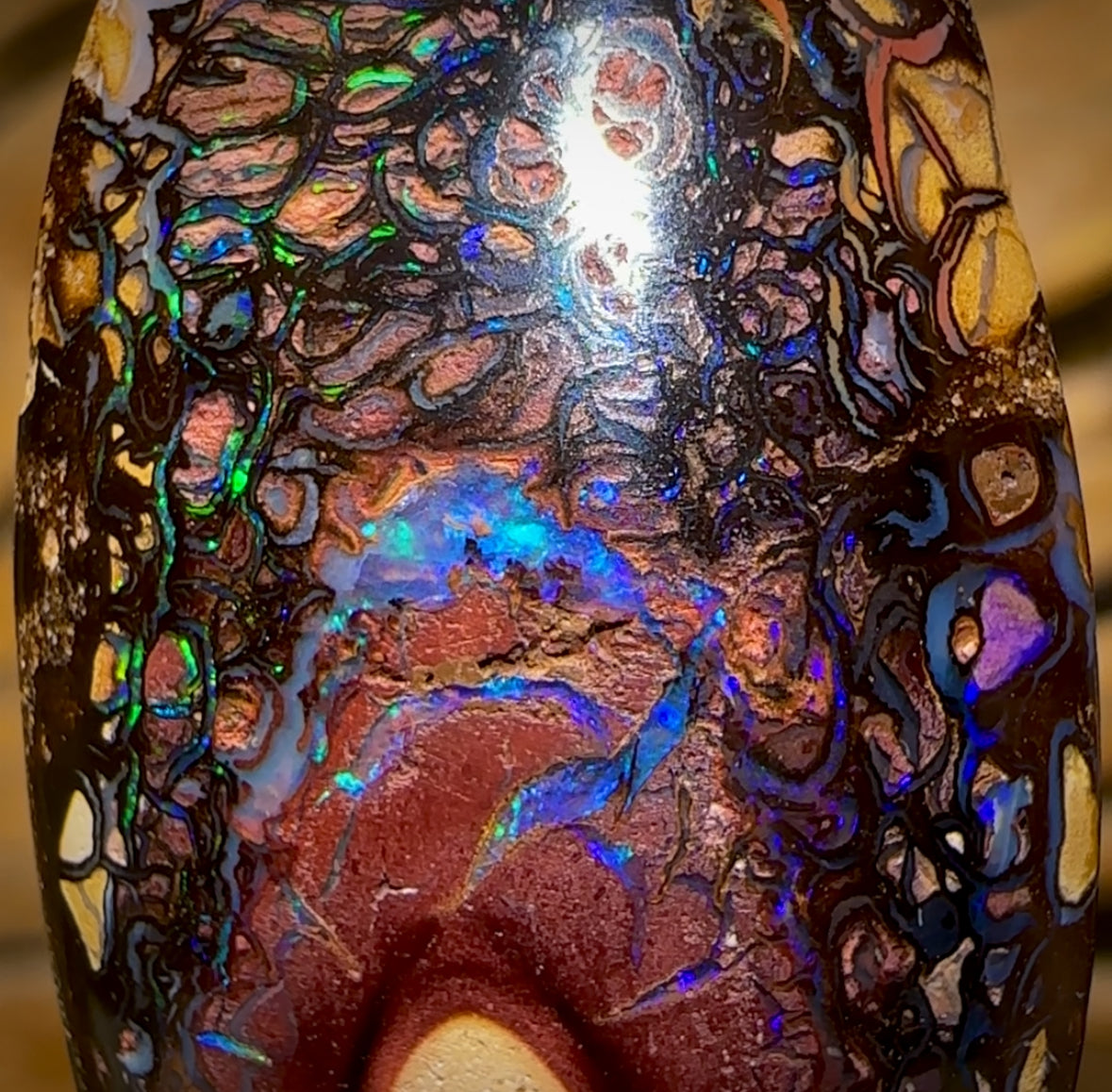 45.6cts - Tribal Queensland Boulder Opal. Australian Opal