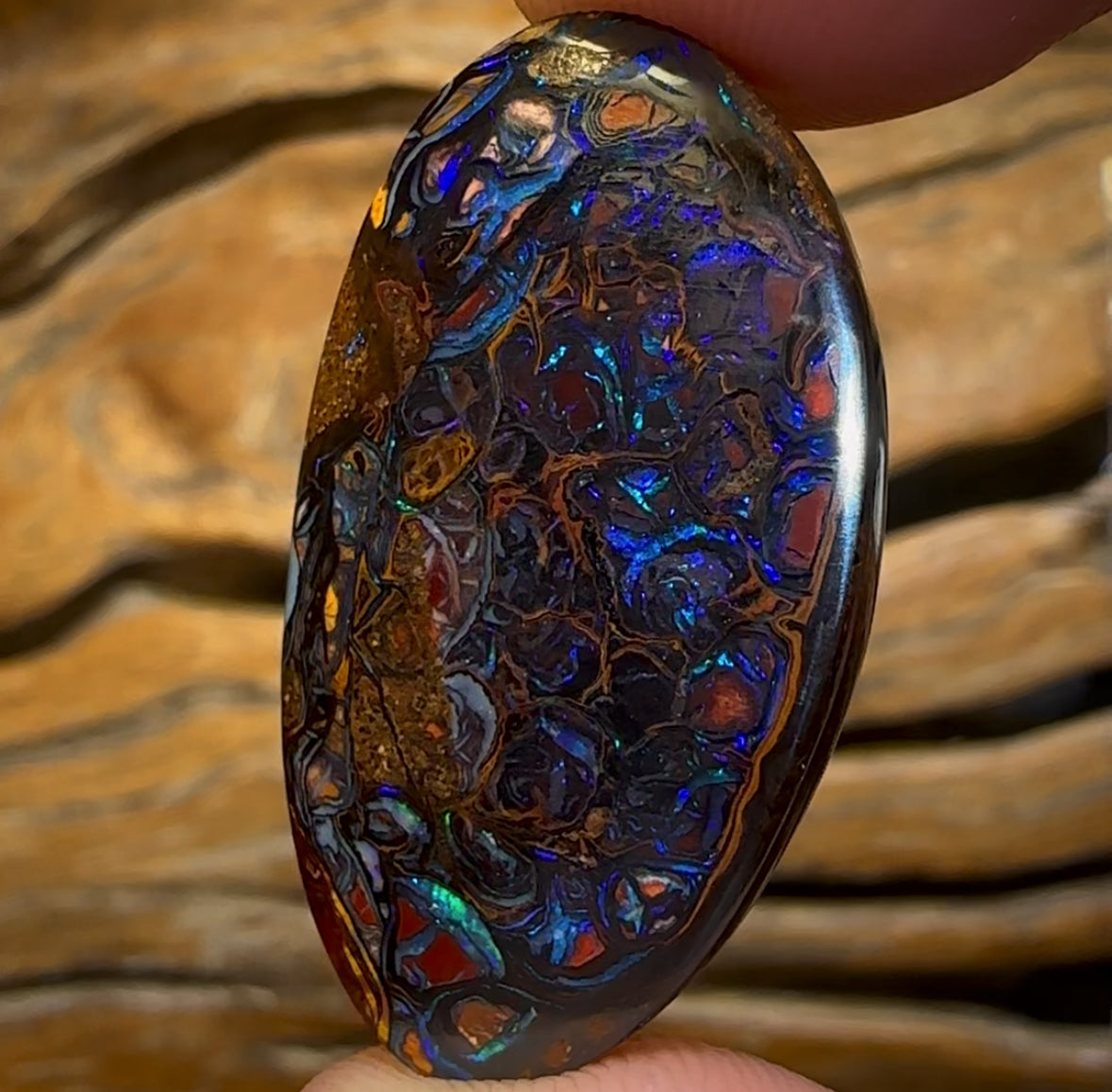 26.3cts - Top Electric Tribal Queensland Boulder Opal from Koroit