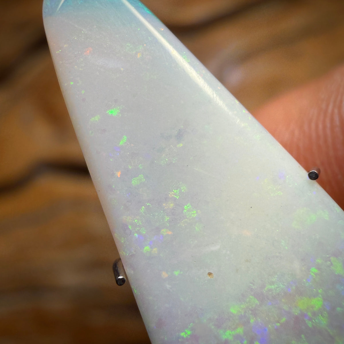 Bargain Card! 3.5cts - South Australian White Opal from Coober Pedy