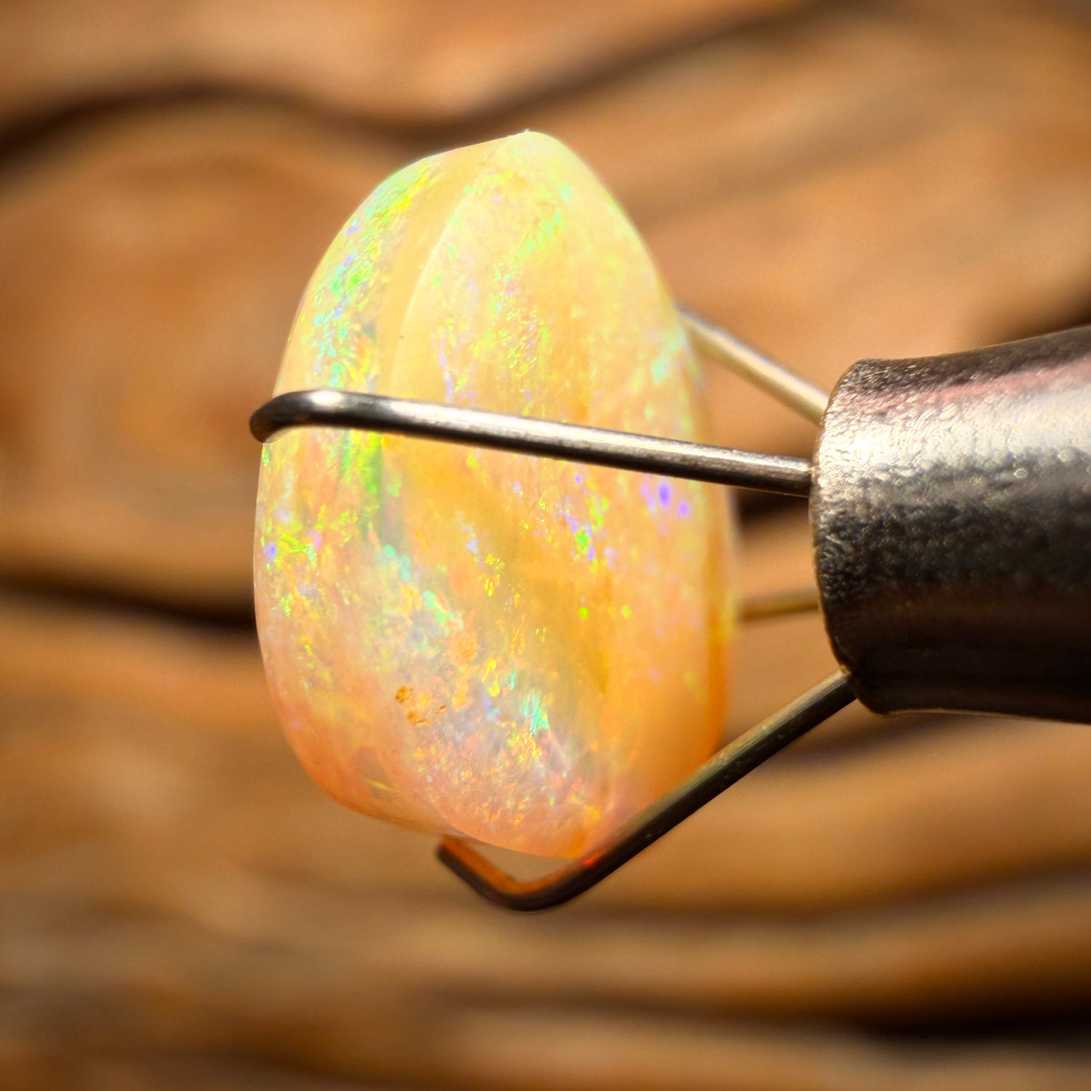 TGIF 3.1cts - Solid Australian Boulder Pipe Golden Green Crystal Opal