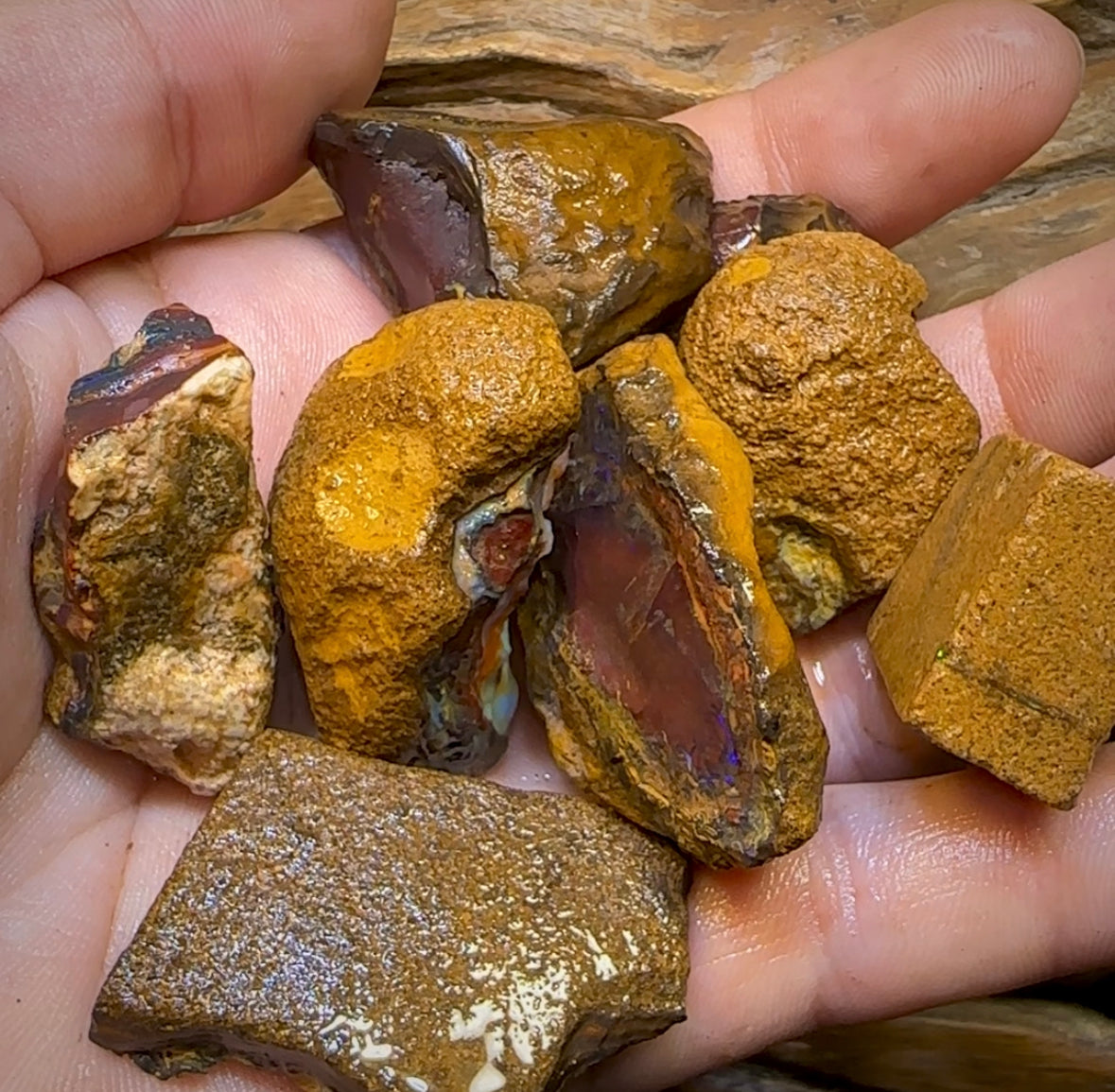 140.1g - 8x Mixed Queensland Boulder Opal Rough Pieces with Crystal Centres - Opal Whisperers