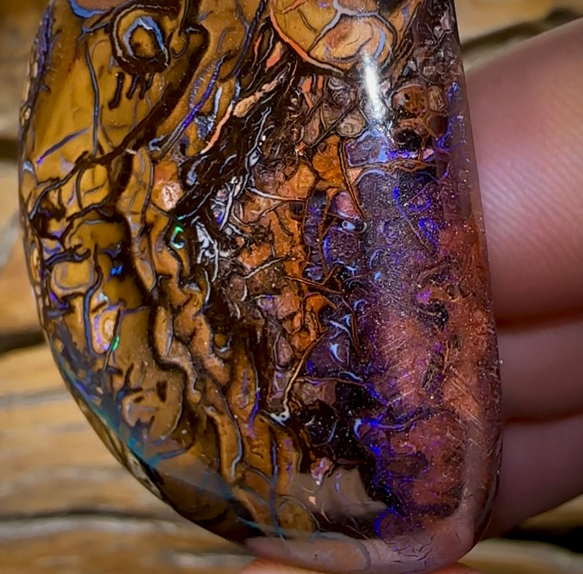 156.7cts - Large Yowah Nut Tribal Opal - Opal Whisperers