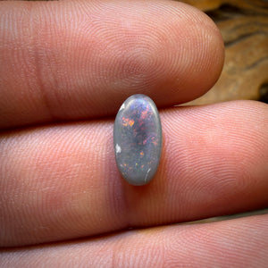 1.94cts - Gem Lightning Ridge Black Opal