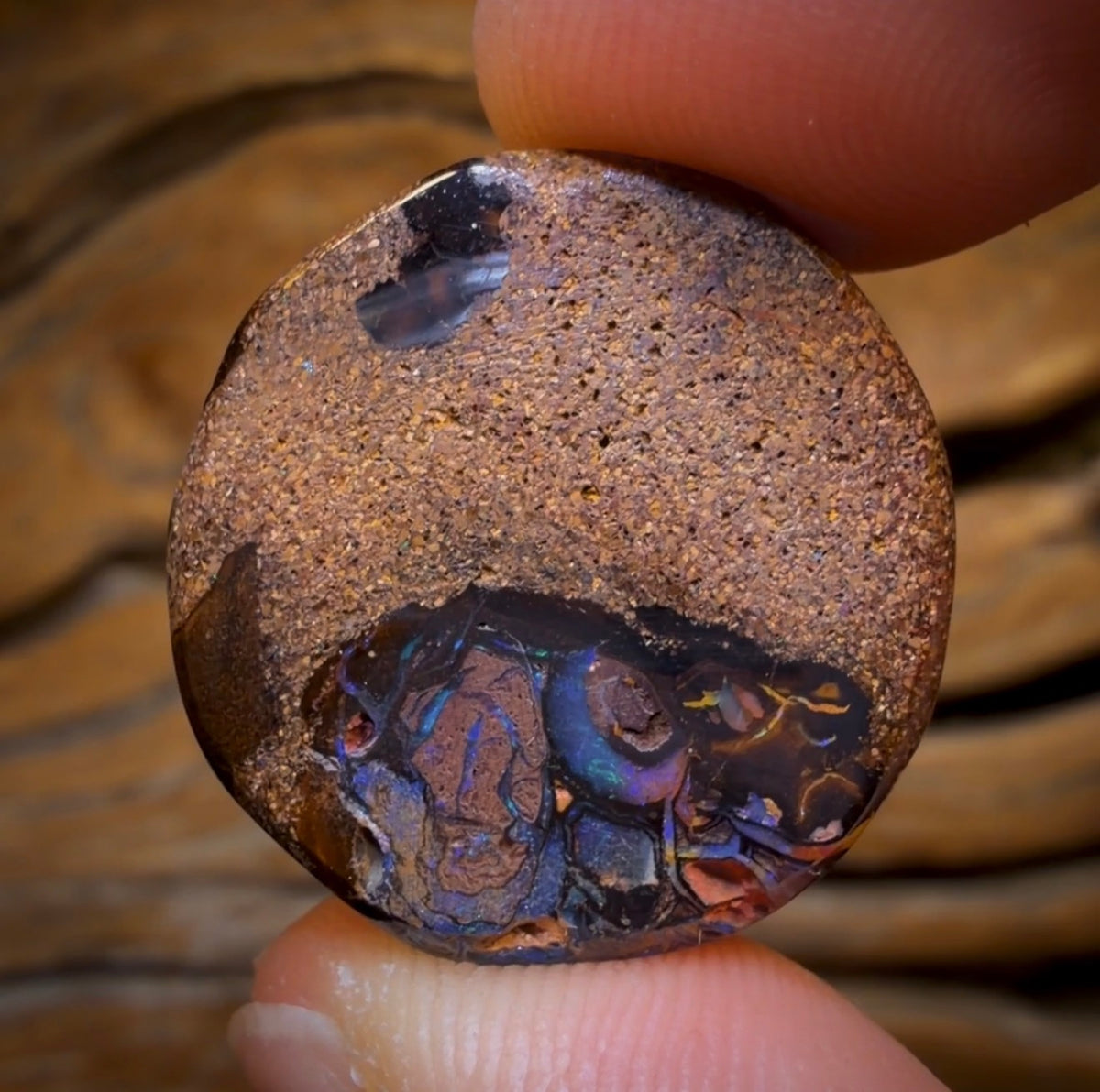 46.4cts - Yowah Nut Kernel Opal. Australian Boulder Opal