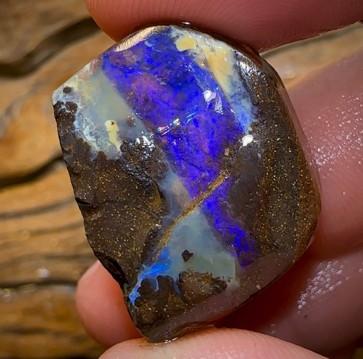 62.3cts - Australian Boulder Opal Rough Preform. Natural Split - Opal Whisperers