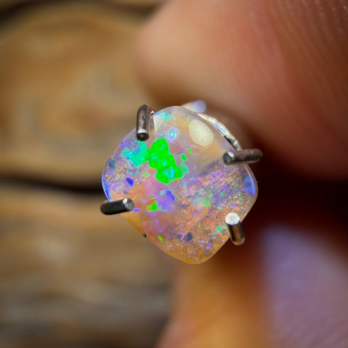 🔨 AUCTION 🔨 No Reserve 0.2cts - Solid Australian Boulder Pipe Opal