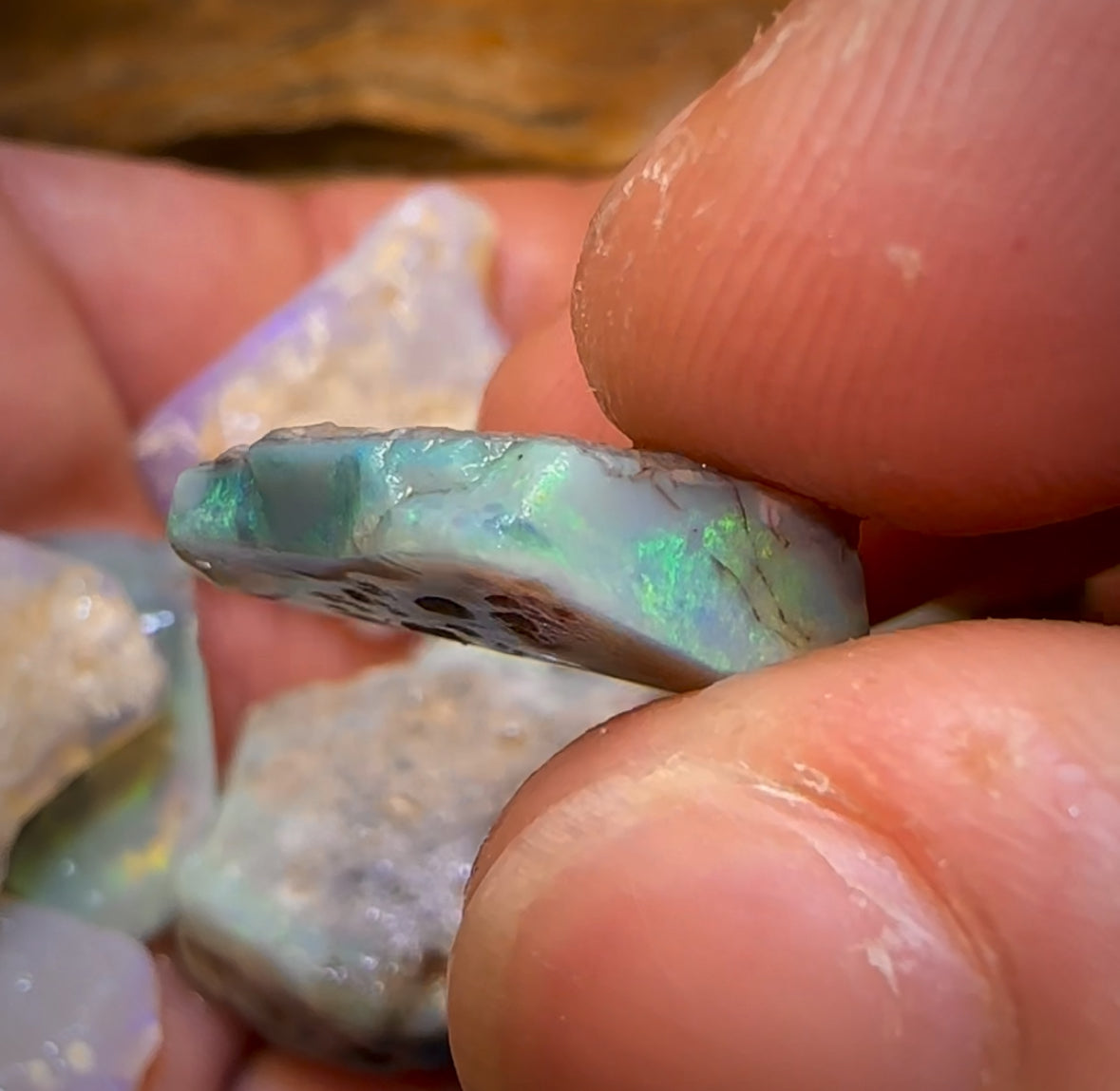 🔒201.2cts - 12x Lightning Ridge Opal Rough Parcel. Serious Cutters!