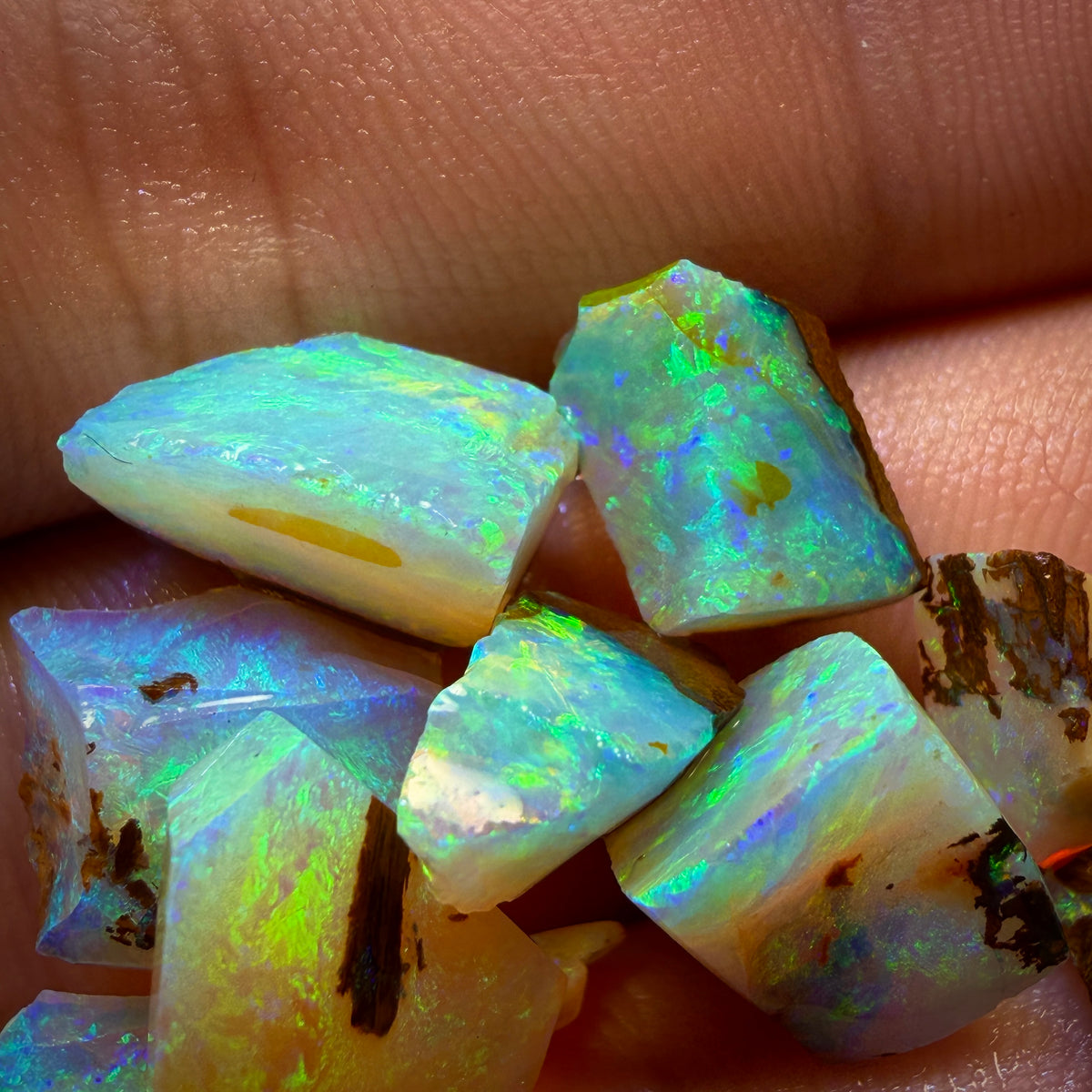 41cts - 10x Australian Yowah Wood Fossil Crystal Opal Rough Pieces. Highly Prized Material