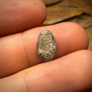 1.1cts - Lightning Ridge Dark Opal Bargain