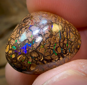 16.6cts - Yowah Nut Opal. Tribal Pattern