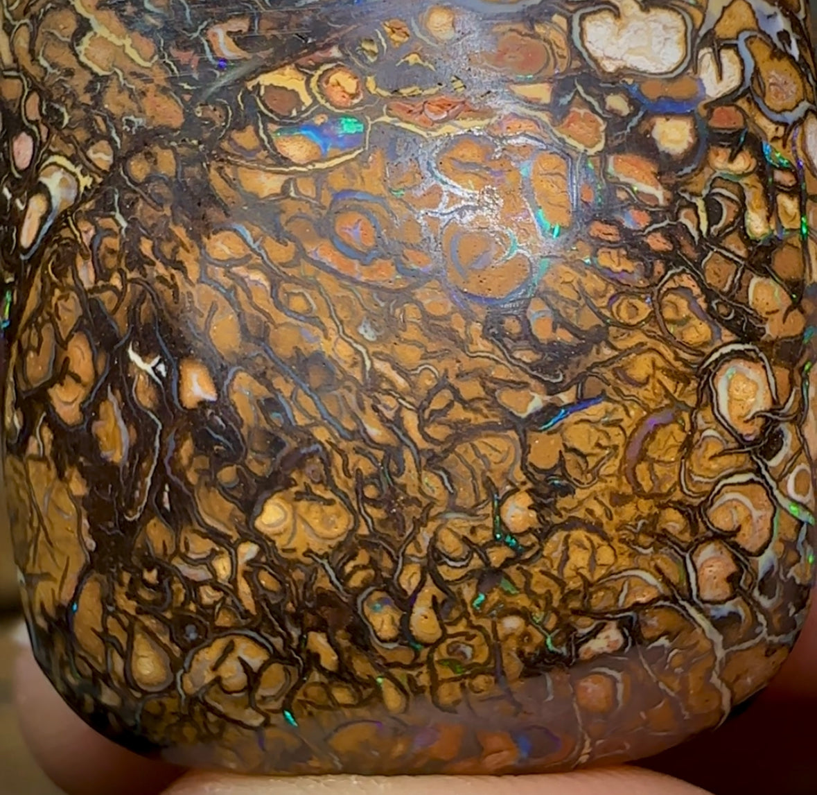 69.3cts - Yowah Nut Opal. Tribal Pattern - Opal Whisperers