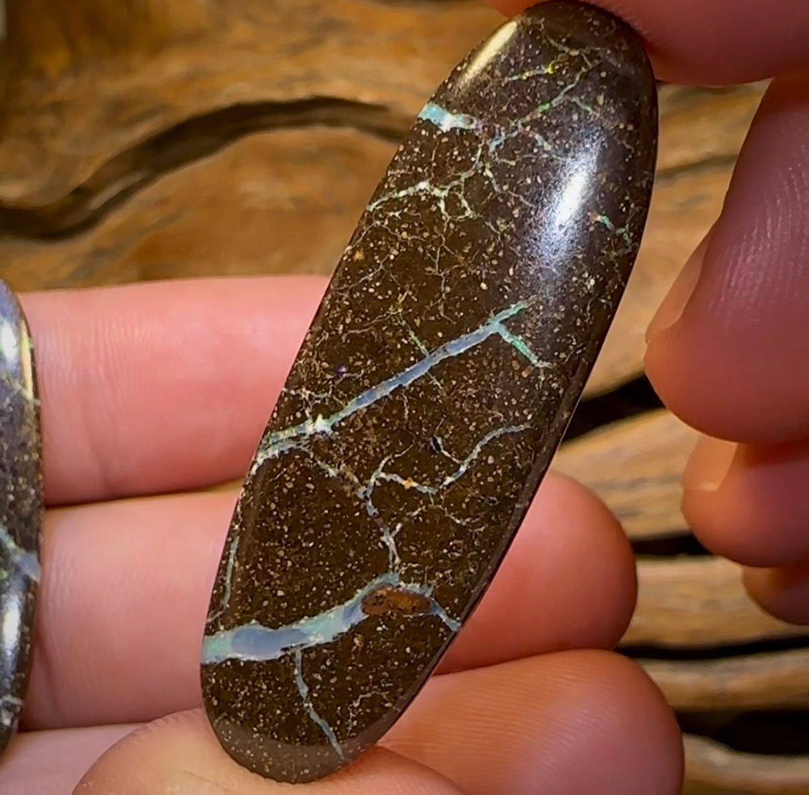 32.7cts - “Opal Web”Australian Boulder Opal Pair - Opal Whisperers