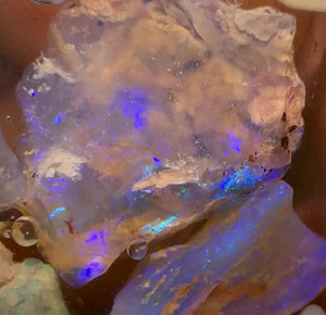 56cts - Lightning Ridge, Fossil Rough Opal Specimen - Opalwhisperers