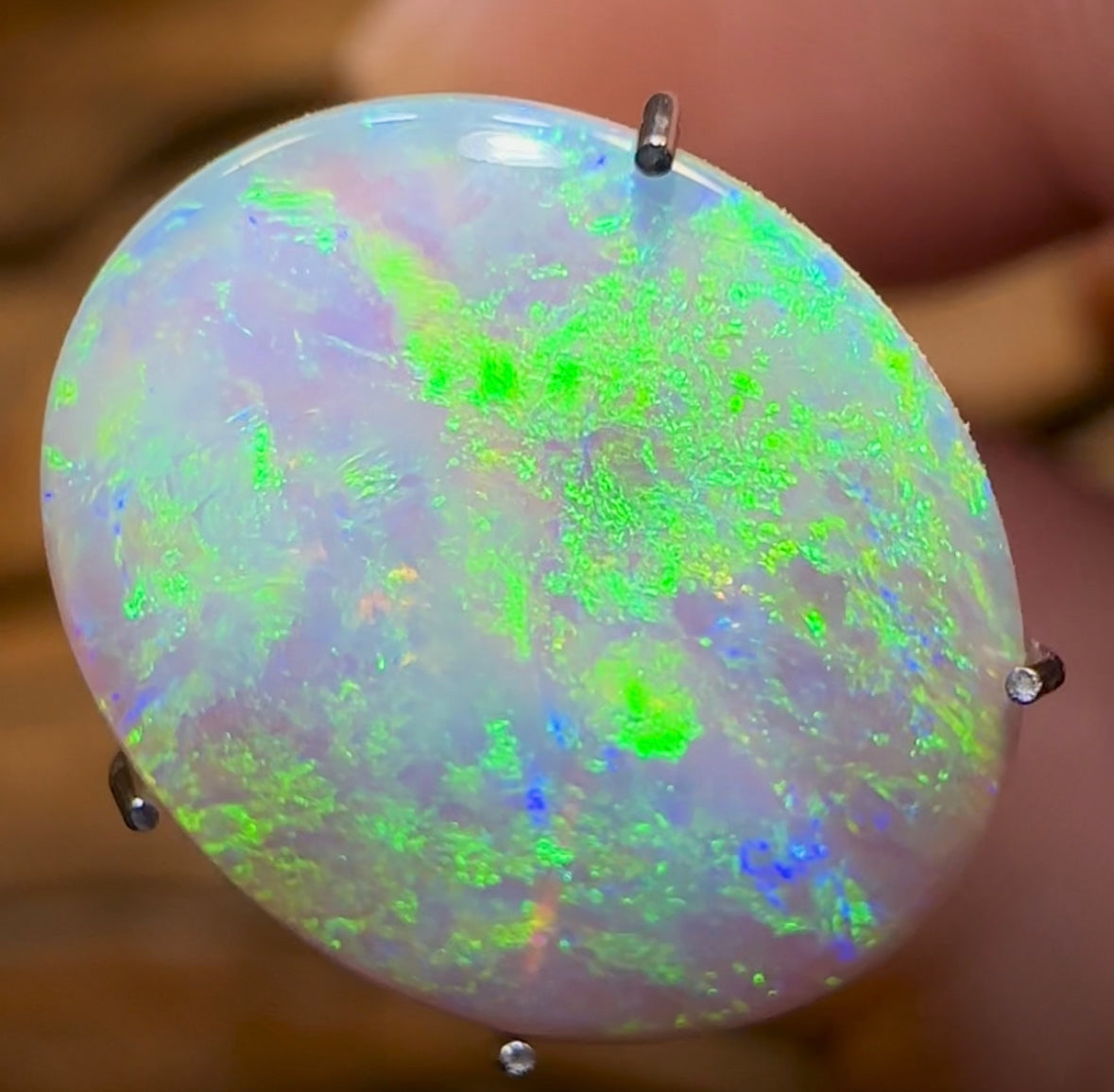 3.15cts - Lightning Ridge Crystal Opal - Opal Whisperers