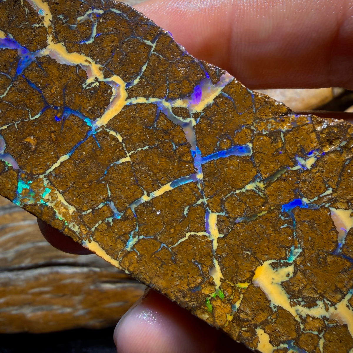 Dad Card! 683cts - Queensland Boulder Seam Opal Rough Specimen Piece