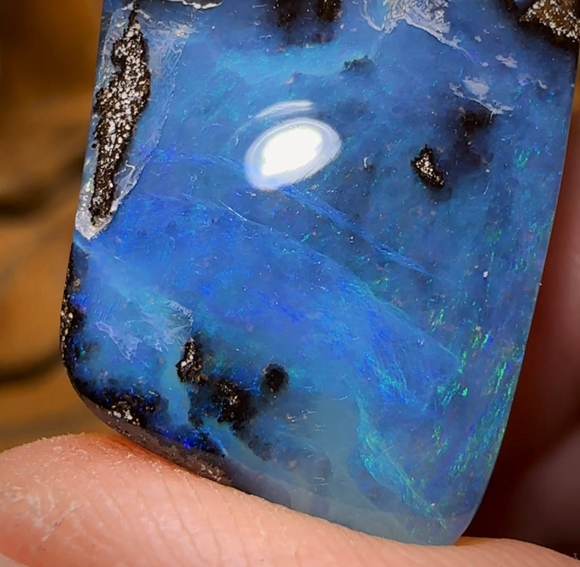 60.2cts - Queensland Boulder Seam Opal - Opal Whisperers