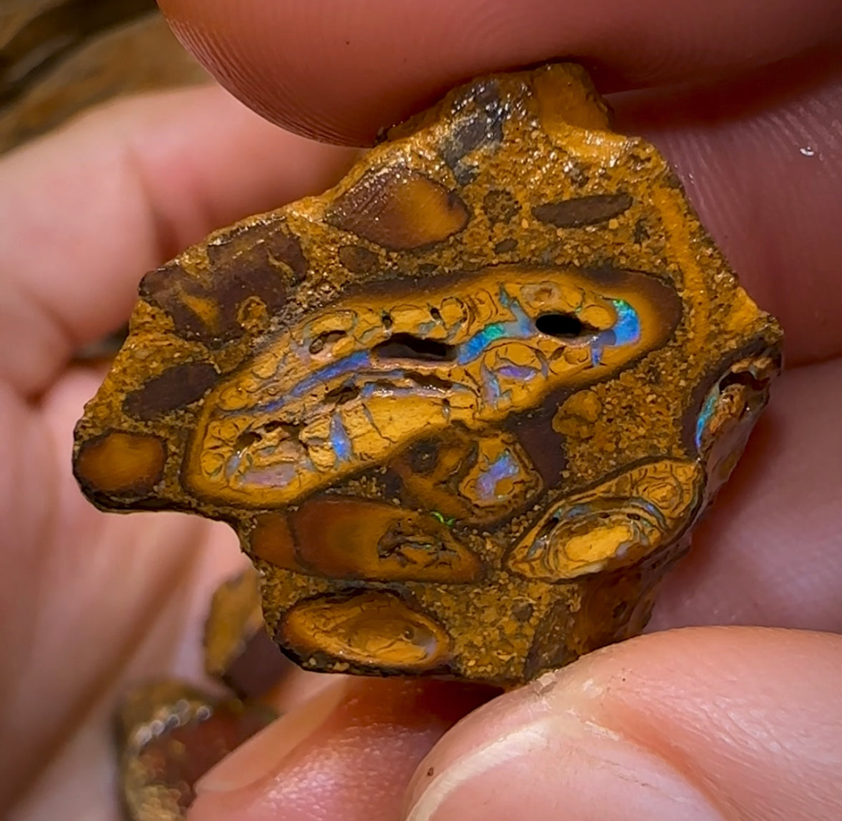 436.8cts - 12x Yowah Opal Rough Pieces. Australian Boulder Opal - Opal Whisperers