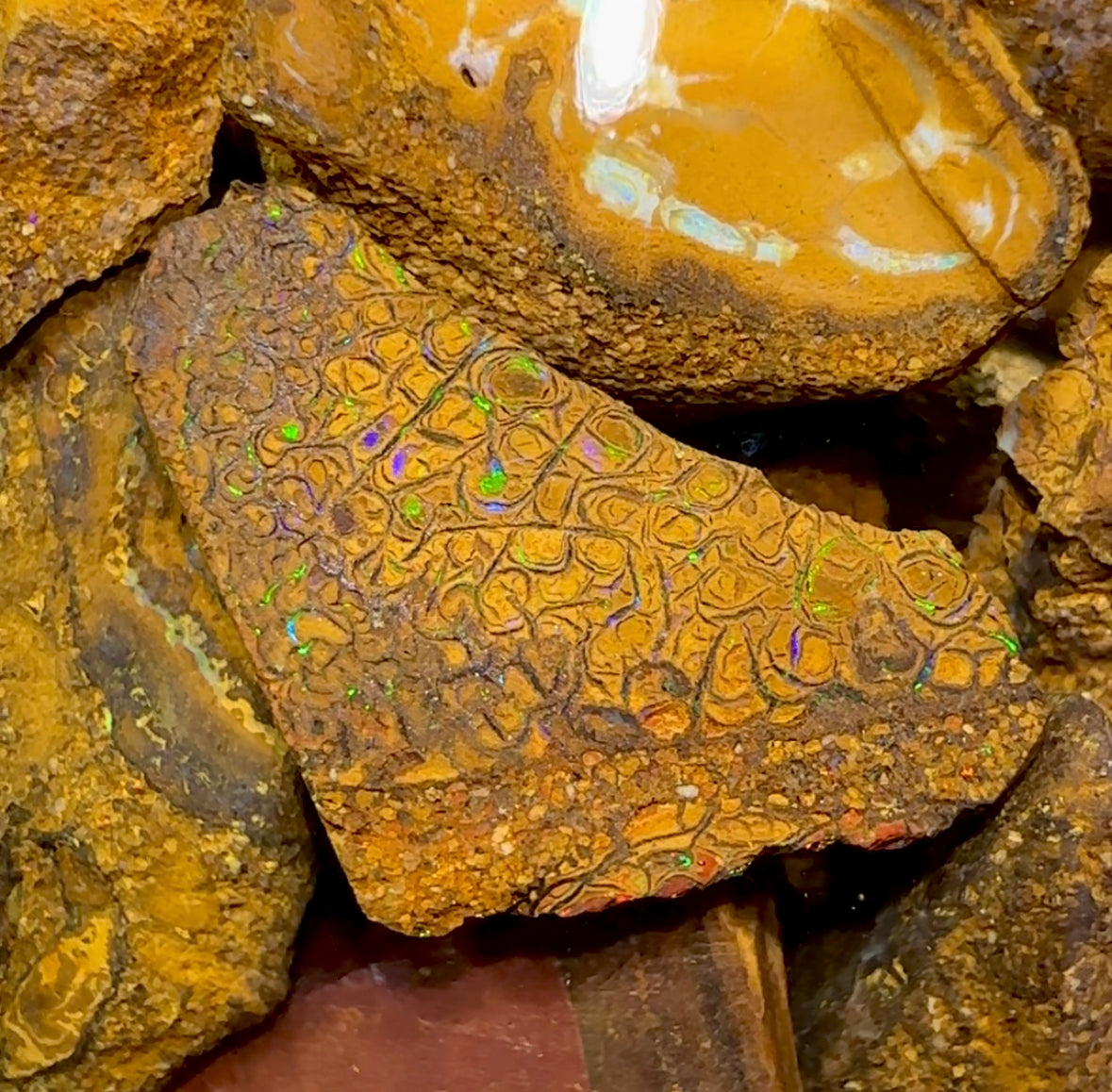 133.1g - Jar of Rough Australian Boulder Opal - Opal Whisperers