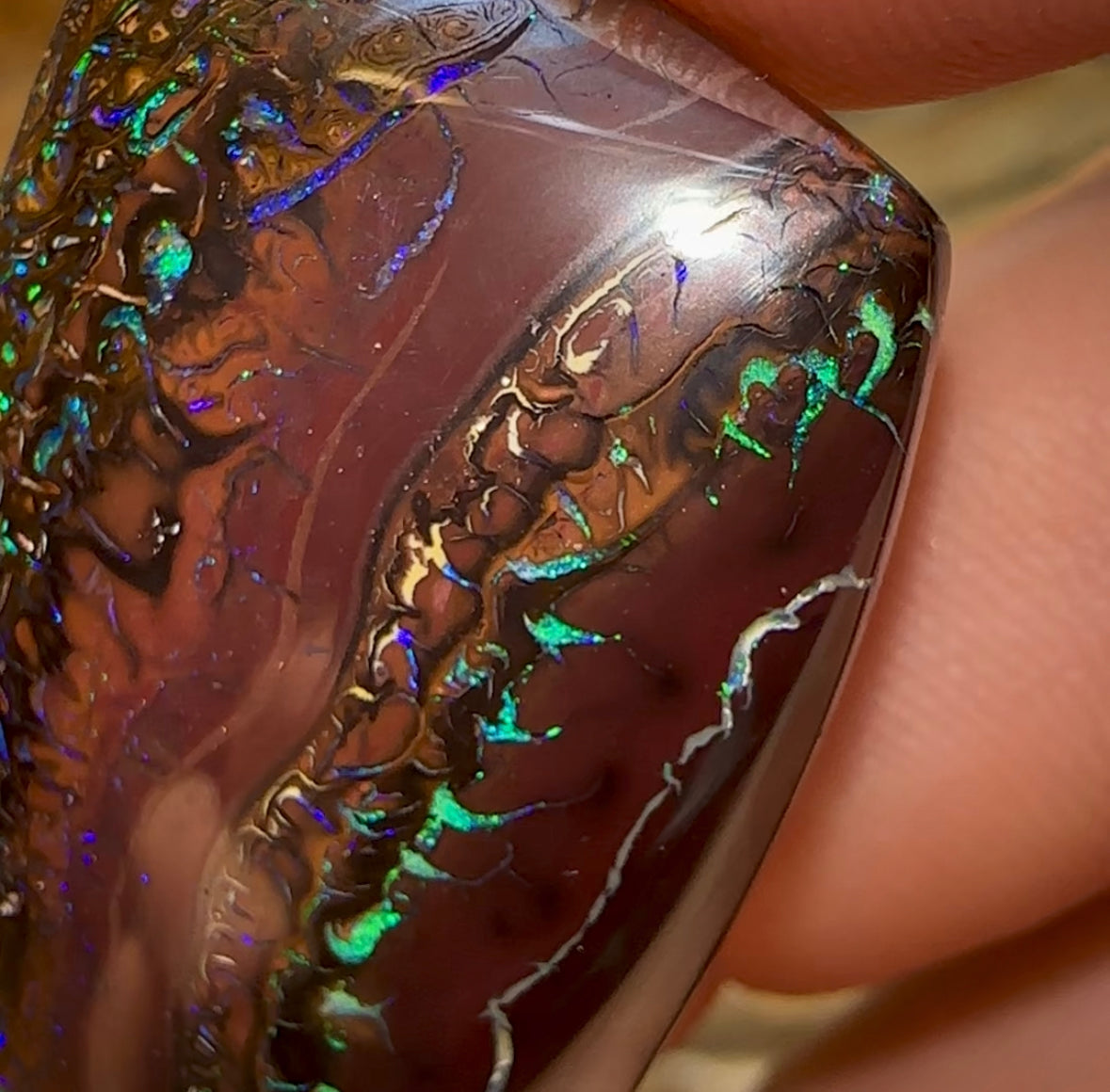 69.7cts - Tribal Pattern Koroit Nut Opal on Deep Ocre Red Ironstone - Opal Whisperers