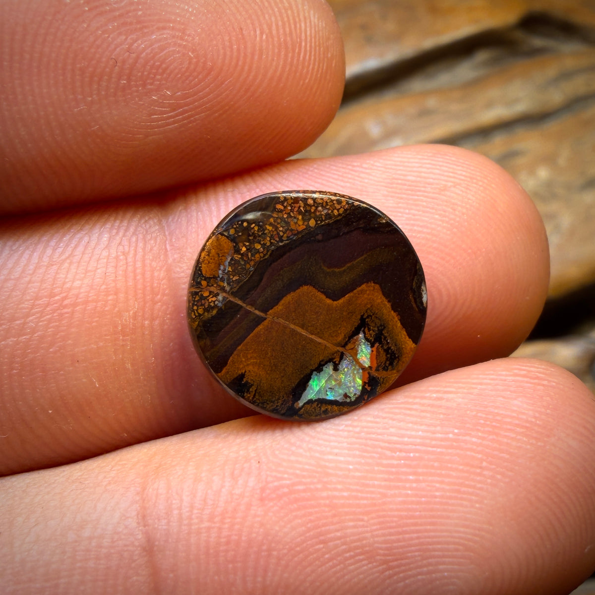 🔨 AUCTION 🔨 Reserve 💎 High Roller Banger Auction 💎 7.8cts - Yowah Nut Kernel Opal. Australian Boulder Opal
