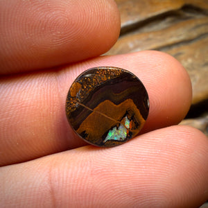 🔨 AUCTION 🔨 Reserve 💎 High Roller Banger Auction 💎 7.8cts - Yowah Nut Kernel Opal. Australian Boulder Opal