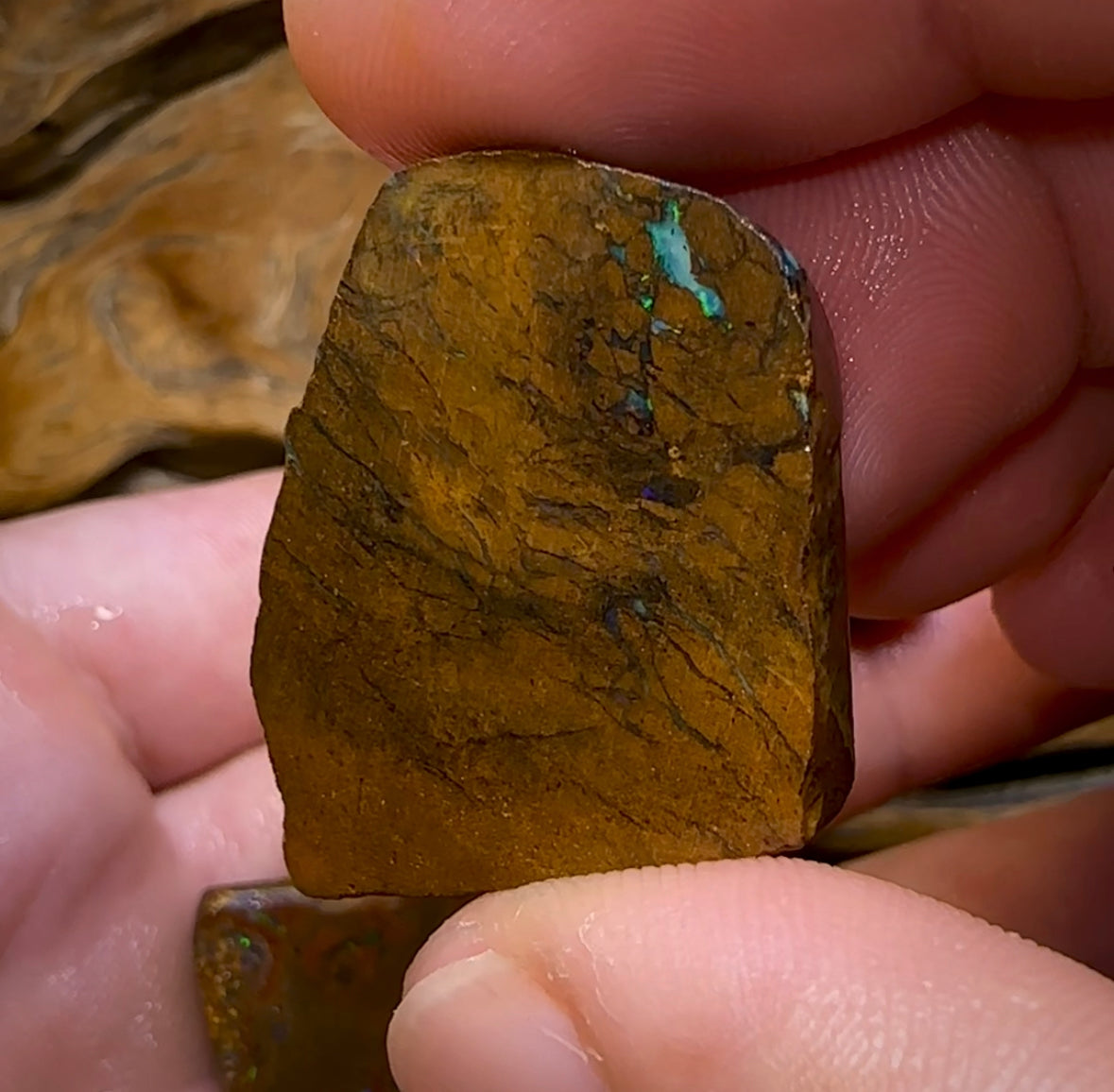 166.9cts - 3x Yowah Nut Rubs. Australian Boulder Opal - Opal Whisperers