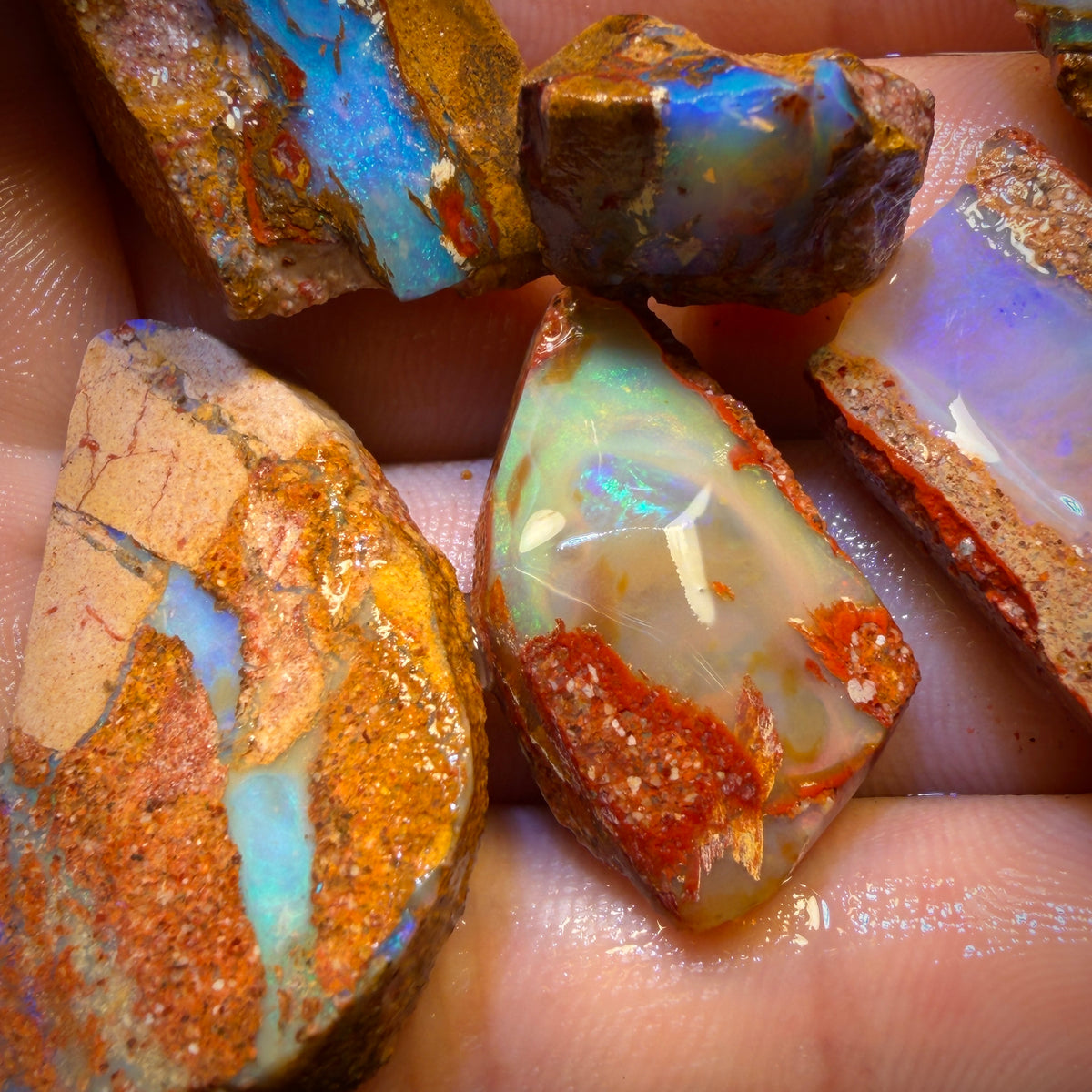 127.1cts - 6x Queensland Boulder Pipe Opal Rough Pieces