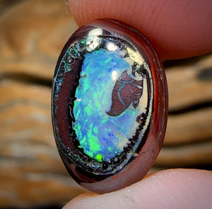 11.8cts - “Collectors Prize” Yowah Nut Kernel Opal. Australian Boulder Opal