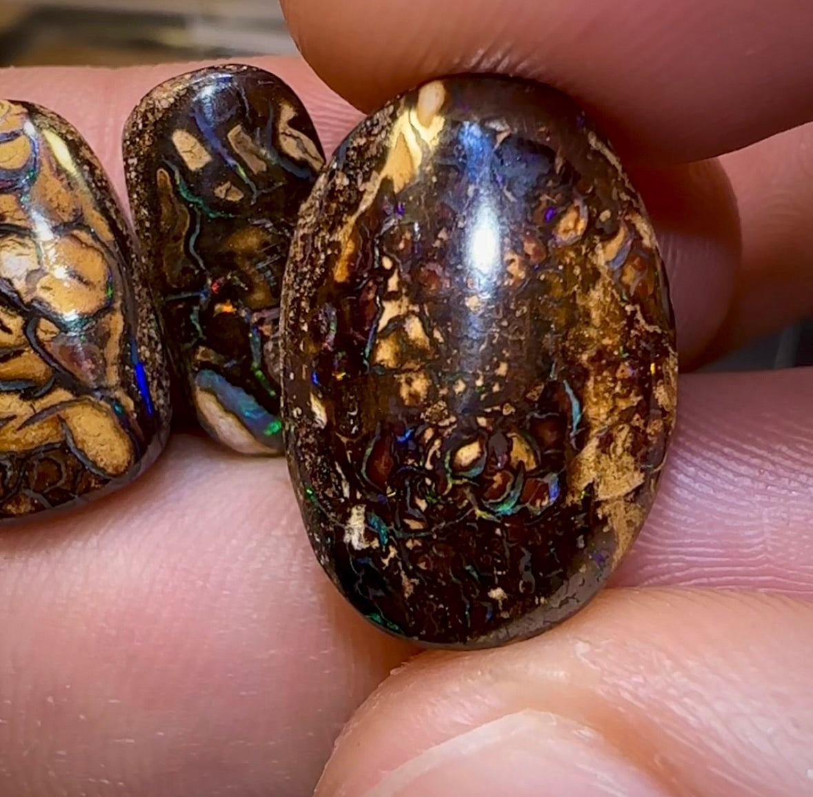 (Template) Tribal Boulder Opal Parcel. BULK LISTING - 5 FOR $175!! - Opal Whisperers