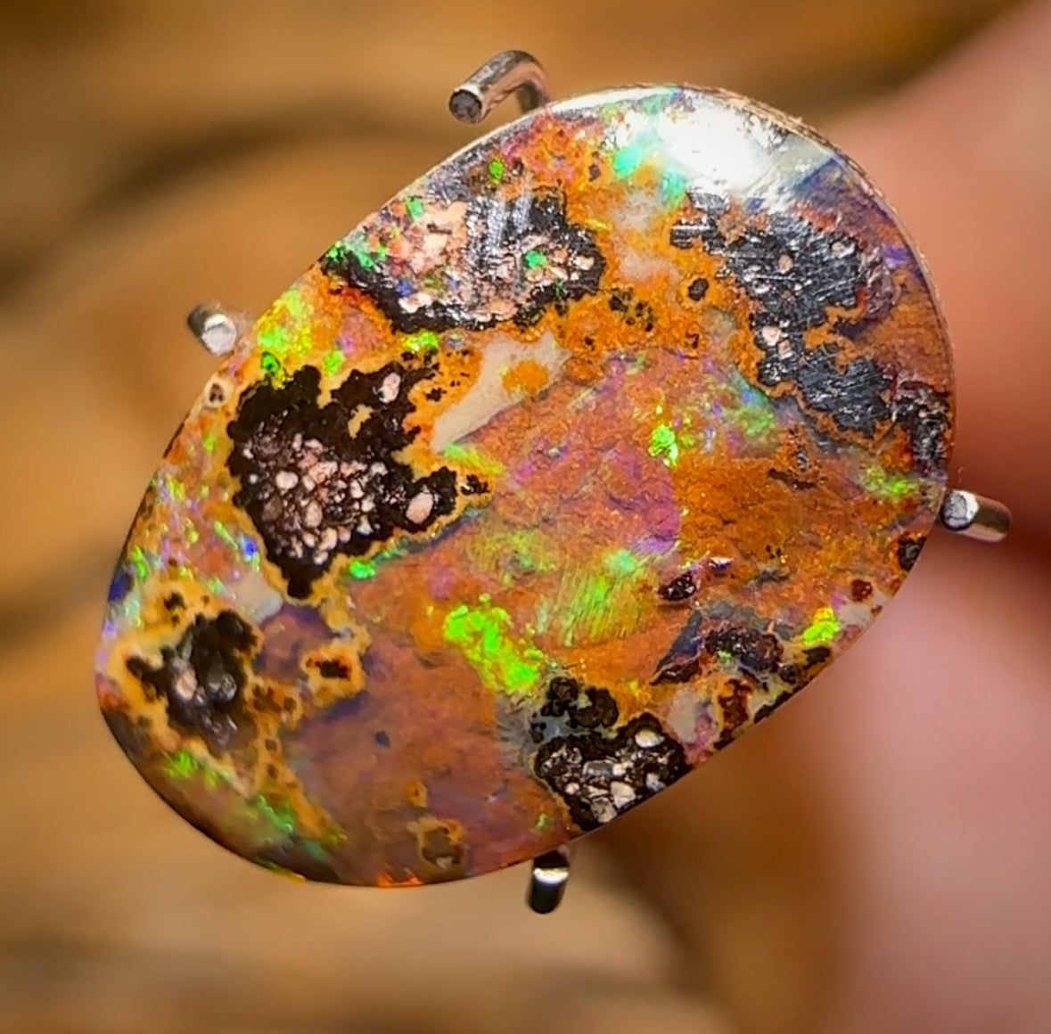 2.55cts - Queensland Boulder Seam Opal