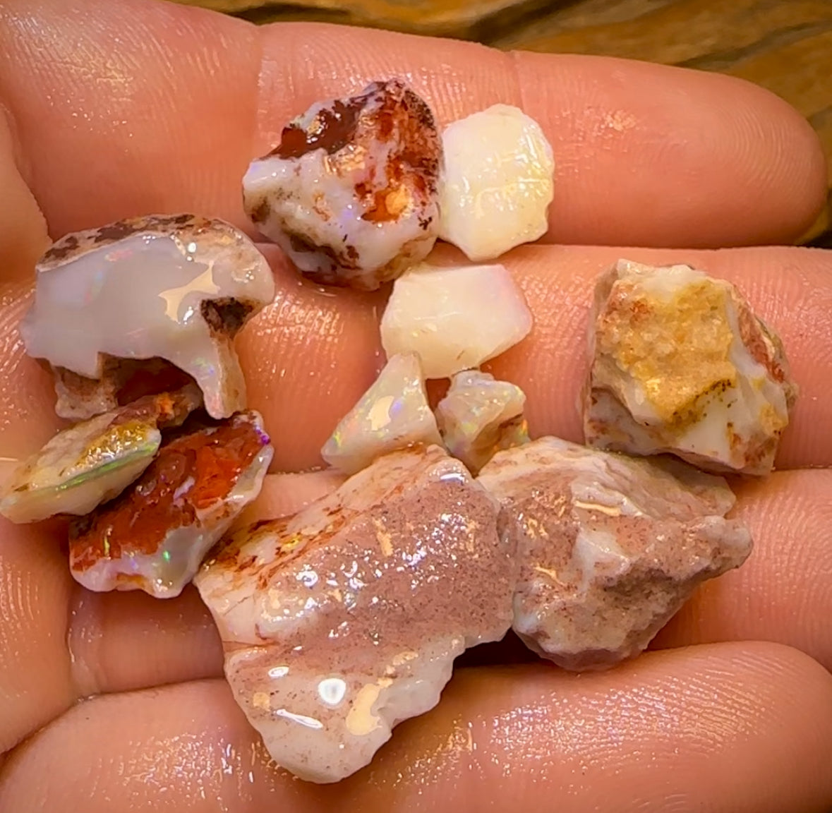 76.3cts - 11x South Australian Rare Mintabie Opal Rough Parcel