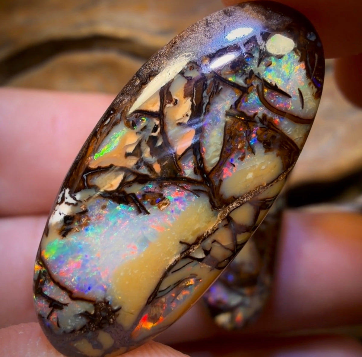 33.1cts - Cathedral AKA Stained Glass Window Australian Boulder Wood Fossil Opal Pair
