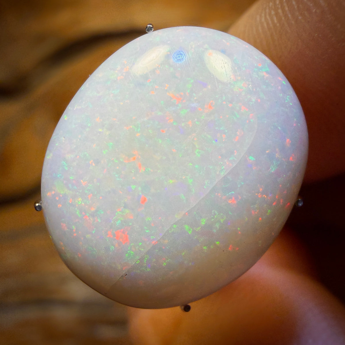 🔨 AUCTION 🔨 No Reserve 9.6cts - South Australian White Opal
